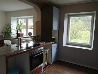Ferienhaus Vulkaneifel Abtei Himmerod - Großlittgen - 1