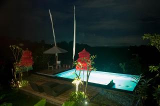 Dukuh Baturan Villa - Jatiluwih - 3