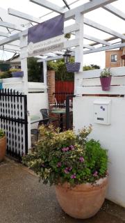 Lavanda - Umag - 9