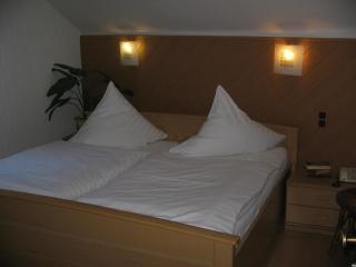 Hotel Alt Wassenberg - Wassenberg - 2