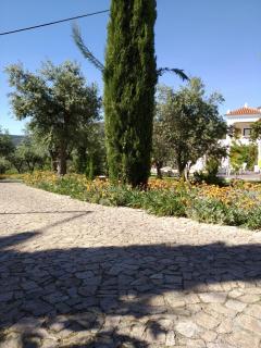 Casa da Paleta - Castelo de Vide - 4