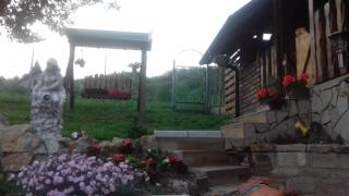 Apartman Darija - Vrdnik - 1