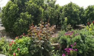 Spanos House - 2