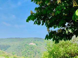 Villa Mandelblüte - 3