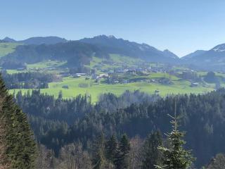 Ferienhaus am Waldrand von Egg Bregenzer Wald - Egg - 1