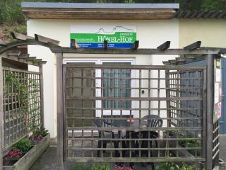 Pension Hönel-Hof Bad Schandau - Bad Schandau - 9
