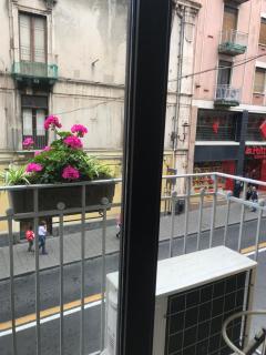 Papali - Catania - 8