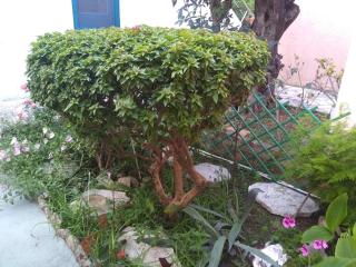 Houri's Apartment - Barbati - 6