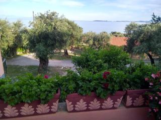 Houri's Apartment - Barbati - 2