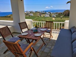 Anthoula's Sea View Apartment - Piso Livadi - 0