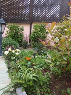 My home apartments 1 - Limenas - 7