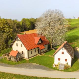 Tourist Farm Rajšp - Benedikt v Slovenskih Goricah - 6