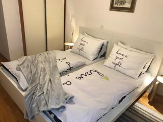 Deluxe Apartment Dora with a private parking, terrace and see view - Rijeka - 0