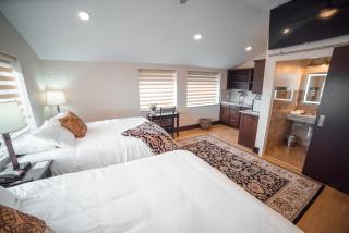 Iron Springs Luxury Lodge & Spa - Cedar City - 3