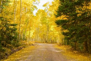 Iron Springs Luxury Lodge & Spa - 1