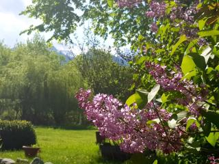 Briza de Munte - Bran - 7