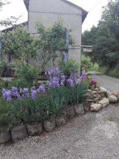 B&B San Nicola - 0