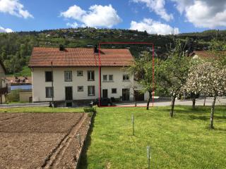 La montagne - La Bresse - 7