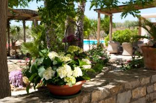 Agriturismo Don Carlo - Baglio Rizzo - 0