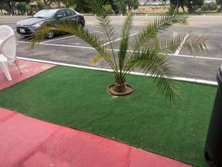 Mount-N-Lake Motel - Wofford Heights - 7