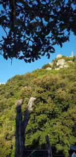 camping l'agrottu au cœur de la corse - Santa-Lucia-di-Mercurio - 2