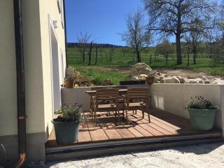 Luxusappartement - Zell am Moos - 1