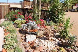 Platbakkies Farm Retreat - 9