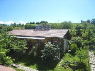 Napraforgó Panzió - Praid - 0