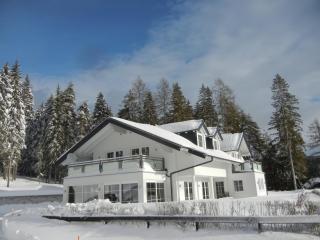 Haus Terra - Ramsau am Dachstein - 4