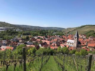 Ferienwohnung am Weinberg - Randersacker - 3