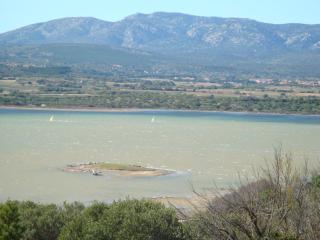 Leucate,cadre arboré,ombragé,sous les cyprès - Leucate - 0