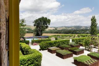 Tenuta Santi Giacomo e Filippo - Urbino - 3