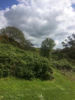 Willow Valley - 4