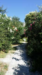 Les Oliviers - Moustiers-Sainte-Marie - 4