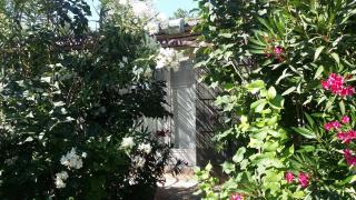 Les Oliviers - Moustiers-Sainte-Marie - 5