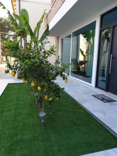 la casa dei limoni - Porto SantʼElpidio - 7