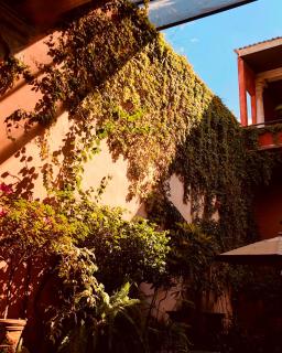 Casa Eugenia Hotel - Morelia - 4