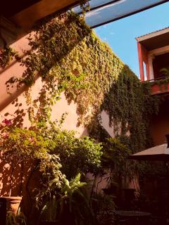Casa Eugenia Hotel - Morelia - 3