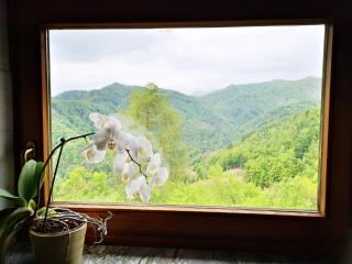 Apartment Vrhouc - Tolmin - 6