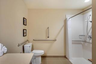 Comfort Inn & Suites Schenectady - Scotia - 1