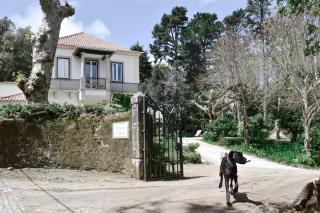Eighteen21 Houses - Quinta Velha - 5