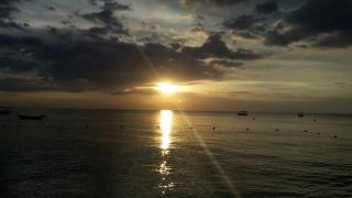 Secret Cabins at Firefly Beach Cottage - Negril - 8