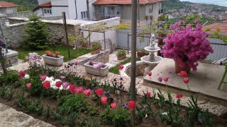 Casa de Elgo - Balchik - 1
