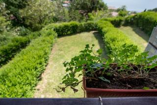 Guest Villas Ecopolis Glavatartsi - Glavatartsi - 1