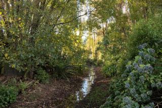 Folster Gardens Bed and Breakfast - 6