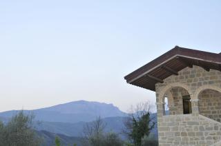 La Collina Del Tartufo - 2