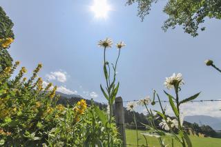 Ferienwohnung Schwalbenwandblick - Saalfelden am Steinernen Meer - 5