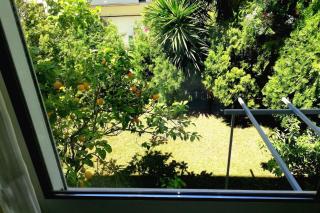 Lefkada SunCentral Apartments - Città di Lefkada - 6