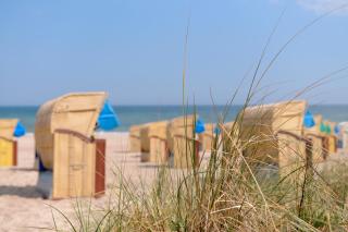 Hotel Holsteiner Hof - Timmendorfer Strand - Timmendorfer Strand - 6
