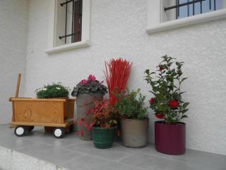 Un bouquet de Tangissart - Villepinte - 8
